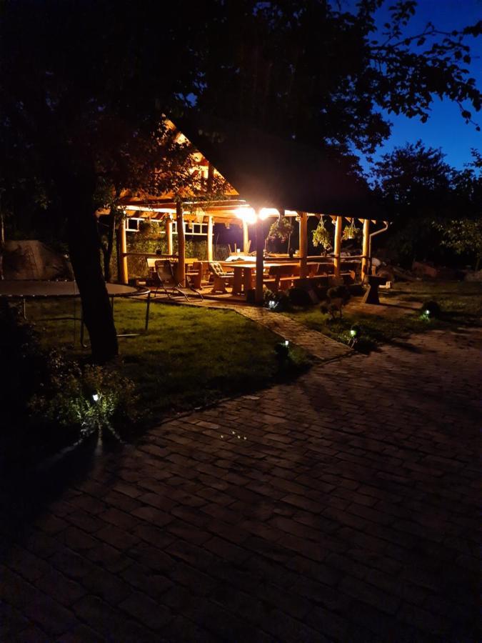 Opg Dijana Kopács